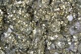 Pyrite On Calcite - El Hammam Mine, Morocco #80723-1